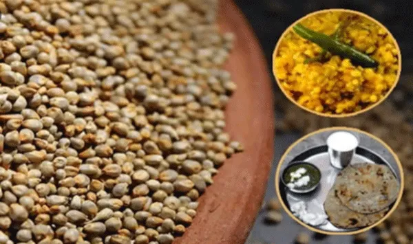 अब बाजरे से बढ़ाई जाएगी इम्यूनिटी पॉवर!