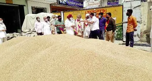 गेहूं की सरकारी खरीद ऑफलाइन शुरू हुई