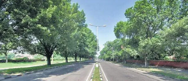 वीक एंड लॉकडाऊन और पाबंदियों का प्रभाव, पंजाब की सुधरी आबो हवा
