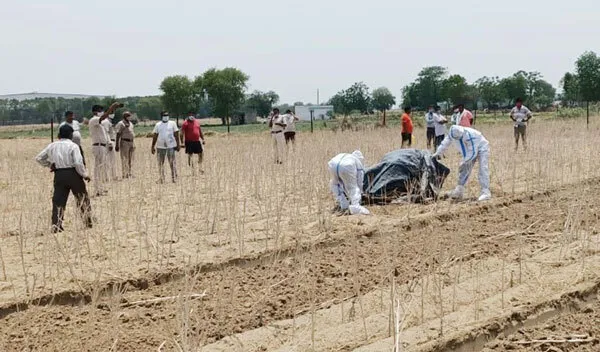 खेतों में मिला नरकंकाल, मचा हड़कंप