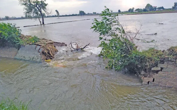तूफान ने बरपाया कहर, सड़कों पर गिरे पेड़, ओवरफ्लो से टूटी माइनर