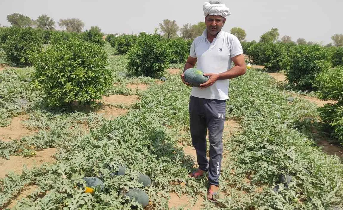 किसान ने तरबूज से पकड़ी आत्मनिर्भरता की राह