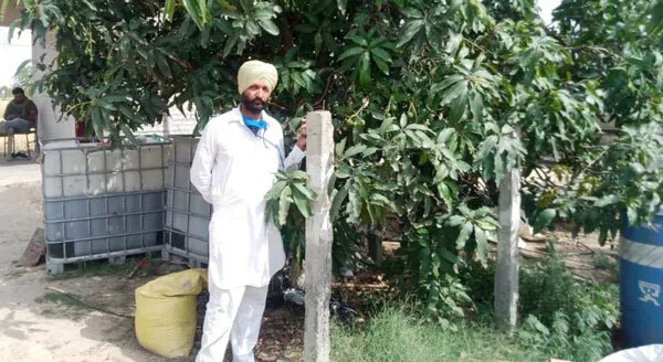 जीरो बजट पर खेती कर किसानों के प्रेरणास्त्रोत बने मास्टर जगदीश