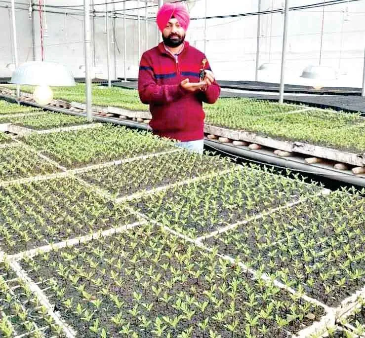 जर्मनेटर चैम्बर में महज 2 दिन में अंकुरित हो जाता है बेल वाली सब्जी का बीज