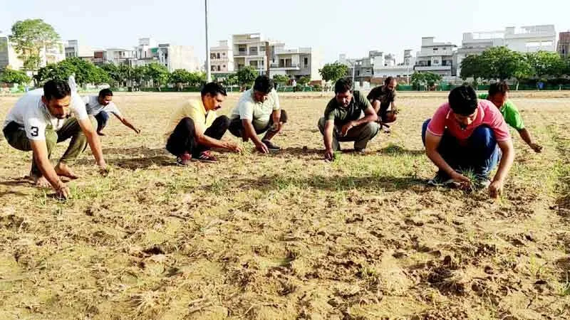 प्रशासन ने दिखाई बेरुखी : सेक्टरवासियों ने खुद बदल दी पार्क की तस्वीर
