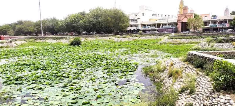 उपेक्षा का शिकार हो रहा कुरुक्षेत्र का कमल कुंज