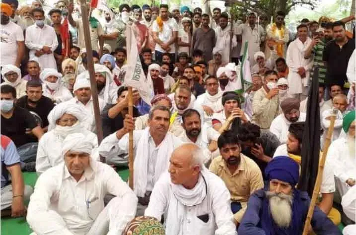 विधायक बबली माफी मांगे वरना लेंगे कड़ा फैसला : गुरनाम सिंह चढूनी