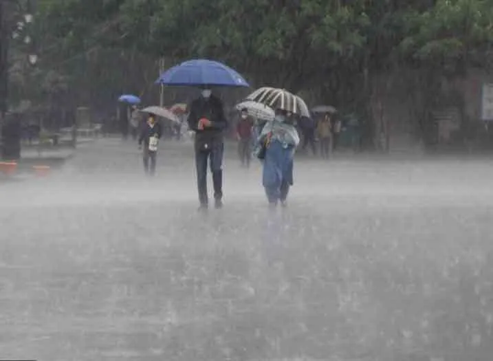 हरियाणा में समय से पहले पहुंचा प्री मानसून, इन जिलों में येलो अलर्ट जारी