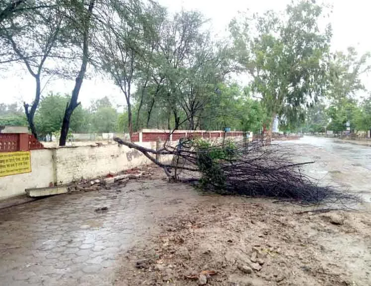 चक्रवर्ती तूफान से भारी नुक्सान, एक महिला की मौत, बिजली ठप्प