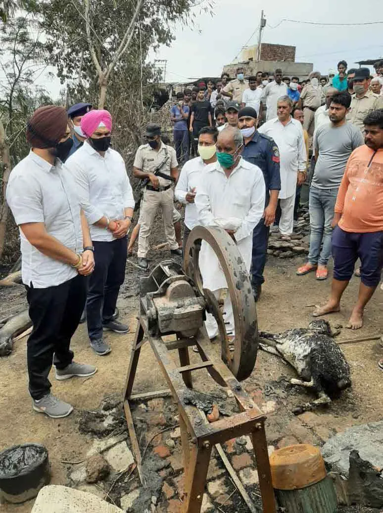 गांव गढ़ी रोड़ान में शॉर्ट सर्किट से भीषण आग, दर्जनों पशुओं की जलकर मौत