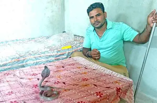 अपनी जान-जोखिम में डालकर दूसरों की जान बचाता है ‘स्नेकमैन’ सहदेव