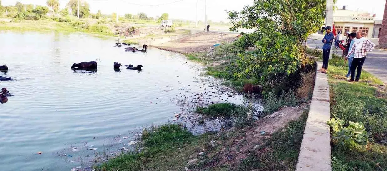 हालात-ए-गांव : विकास में पिछड़ा घरौंडा का गांव कलहेड़ी