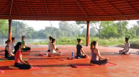 अंतरराष्ट्रीय योग दिवस: जानें, कैसे योग से हारा कोरोना