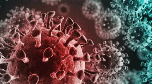 7 more deaths from Corona in Faridabad, 1560 found infected