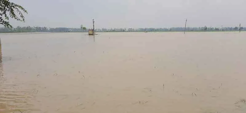 बुढाखेड़़ा, बेरी खेड़़ा, रजाना कलां व रिटौली गाँवों के ग्रामीणों को हुआ नुक्सान