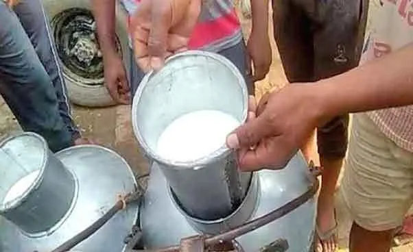 बराड़ा में ‘सफेद दूध’ का काला धंधा