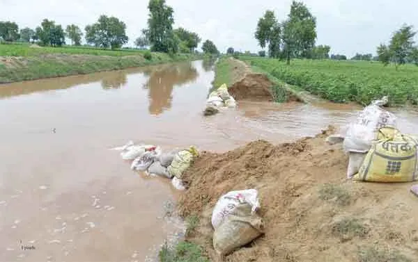 भागसर में टूटी रत्ताखेड़ा खरीफ चैनल, सैंकड़ों एकड़ फसल में जलभराव