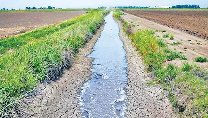 क्या होगा भविष्य! हरियाणा-पंजाब में चिंताजनक स्तर पर गिरा भूजल स्तर