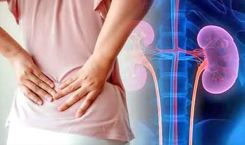 स्वास्थ्य: उम्र के साथ किडनी धीरे-धीरे होने लगती है कमजोर