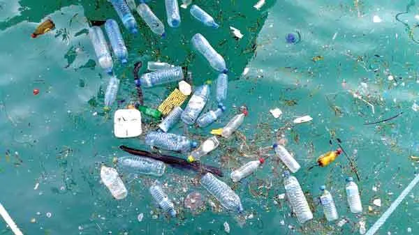 बाढ़ जैसी समस्याओं का जनक है प्लास्टिक कचरा