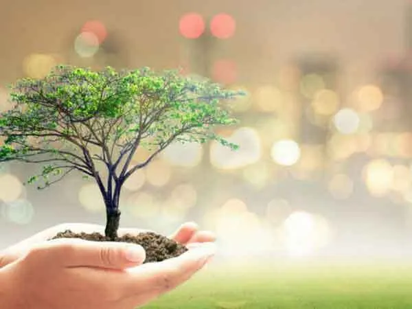 अब पेड़ों को मिलेगा ‘संरक्षण’