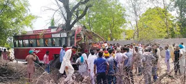 पेड़ से टकराई बस, एक की मौत, दर्जन भर घायल