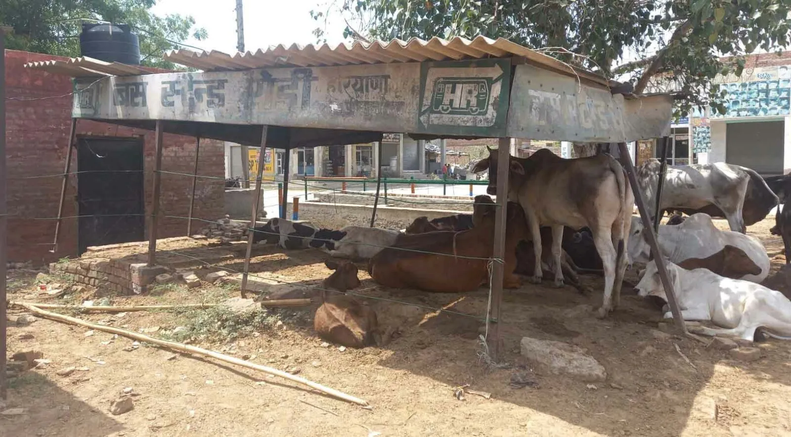 4 दशक बाद भी नहीं मिला रोड़ी को बस स्टैंड