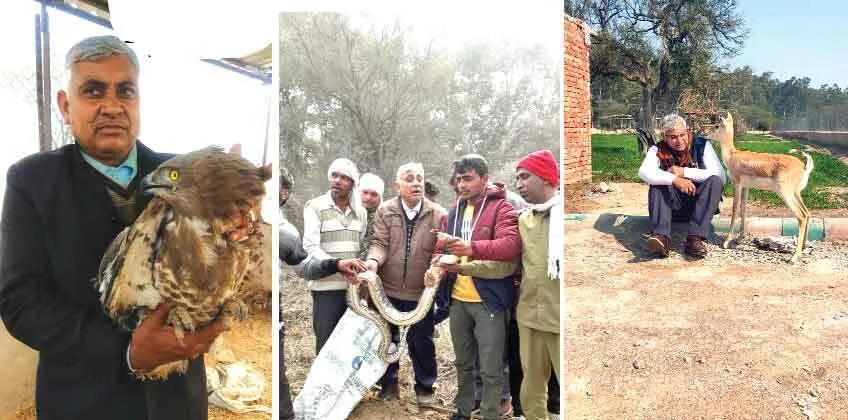 ‘अपने लिए जिए तो क्या जिए’ बेजुबानों के लिए जीना ही जिंदगी…