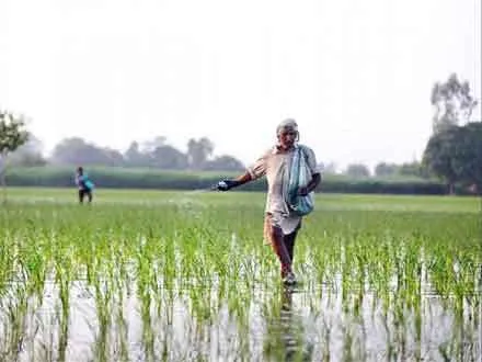 यूरिया की किल्लत से अन्नदाता परेशान