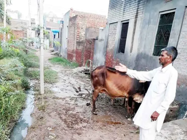सालों बीते पर नहीं बदली गांवों की कच्ची गलियों की सूरत