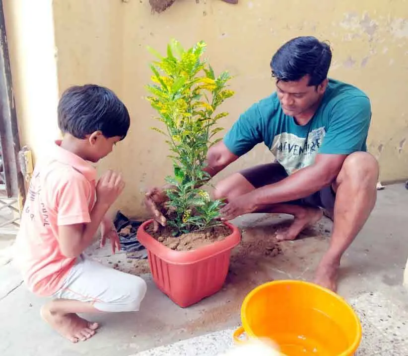 नागपुर ब्लॉक के डेरा अनुयायी ने रक्तदान और पौधारोपण कर मनाया जन्मदिन