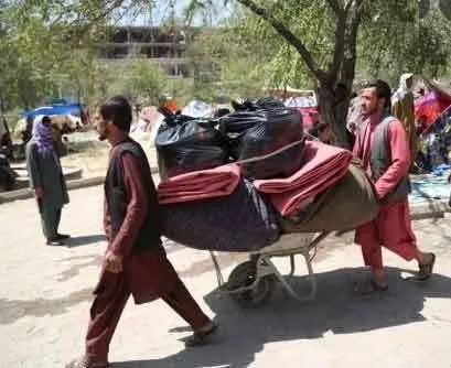 अफगानिस्तान में नहीं है हरियाणा का कोई निवासी