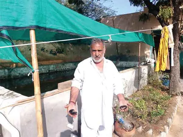 कांट्रेक्ट फार्मिंग से पौली गांव का किसान कमा रहा लाखों