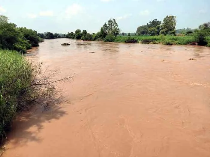 खतरे के निशान से ऊपर घग्गर नदी, सरसा पहुंचा 33500 क्यूसेक पानी