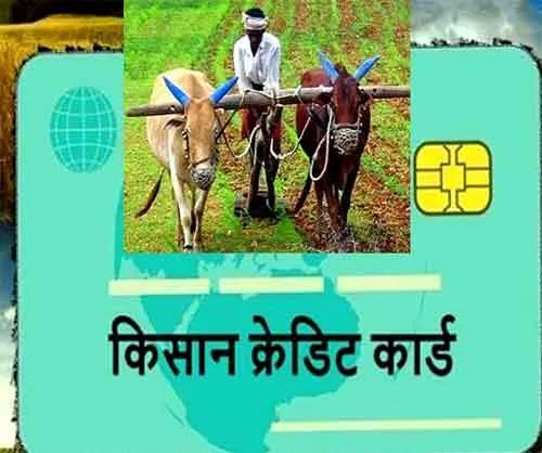 किसानों को मिलेगी केसीसी की लिमिट दोगुनी होने की सौगात?