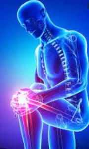 knee