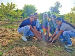 planted