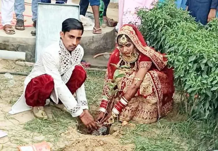 नवविवाहित जोड़ों ने किया पौधारोपण, सार संभाल कर लिया संकल्प