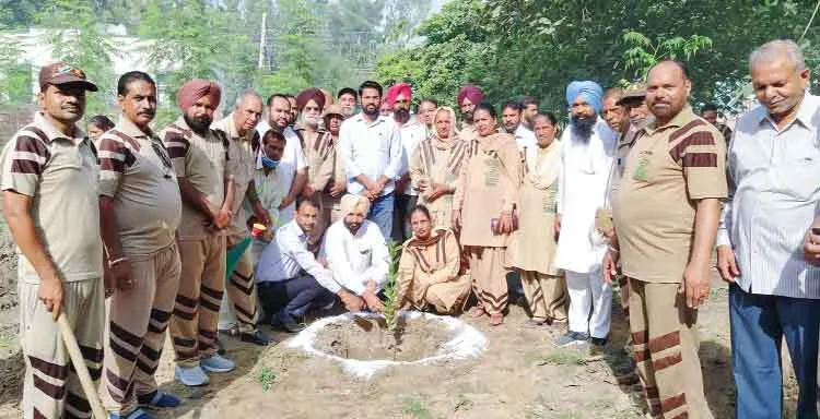 अवतार दिवस पर पूज्य गुरु जी को दिया हरियाली का तोहफा