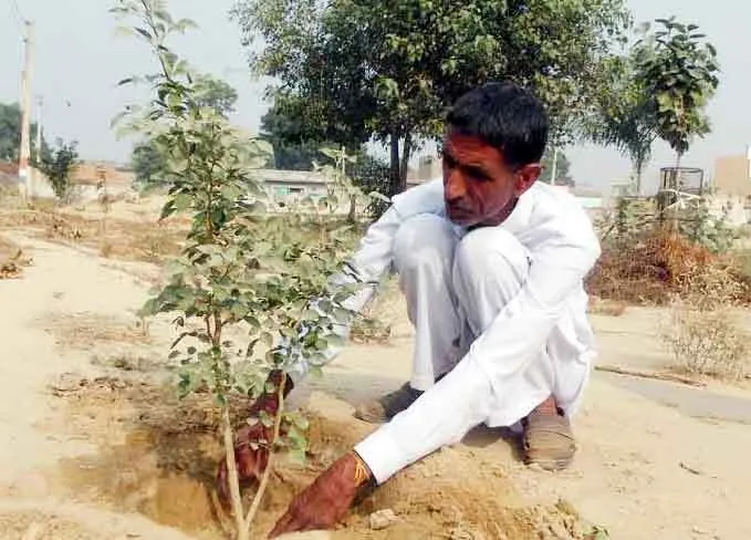शख्सियत: गौवंश को धूप में बैठे देखा तो लिया पौधारोपण करने का प्रण