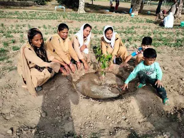 उपकार कॉलोनी की साध-संगत ने लगाए 500 पौधे, स्वयं करेंगे सभाल