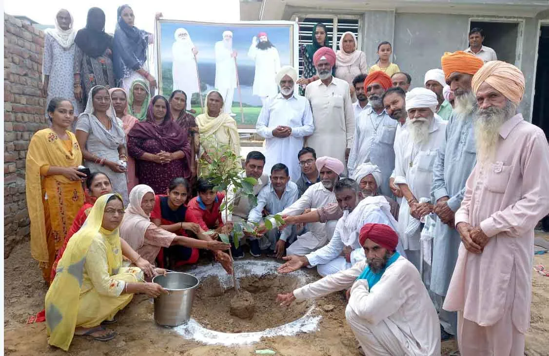 रोड़ी ब्लॉक की साध-संगत ने पौधारोपण कर जरूरतमंदों को बांटा राशन
