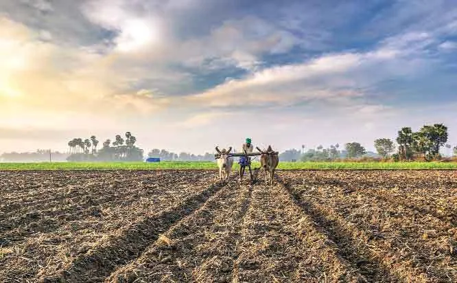 संकट के दौर से गुजर रहे छोटे किसान