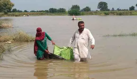 जुलाना क्षेत्र के दर्जनों गांवों में बाढ़ जैसे हालात