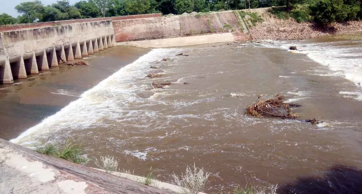 मेरा क्या कसूर! प्रशासन और ग्रामीणों के बीच फंसी ‘प्रदूषण युक्त घग्गर नदी’