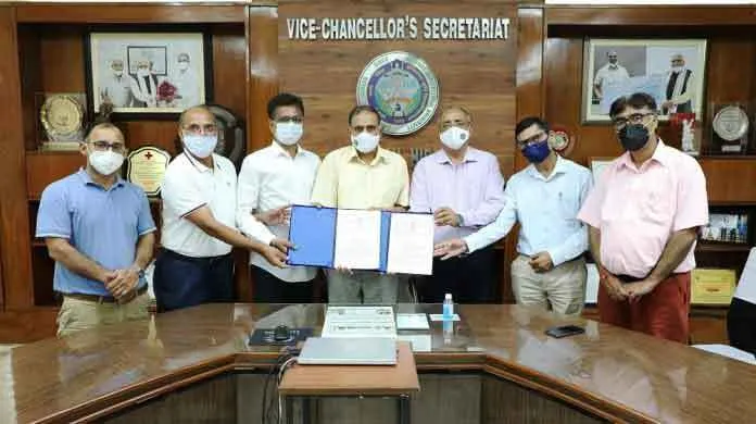 हकृवि का बाजरा लहराएगा परचम