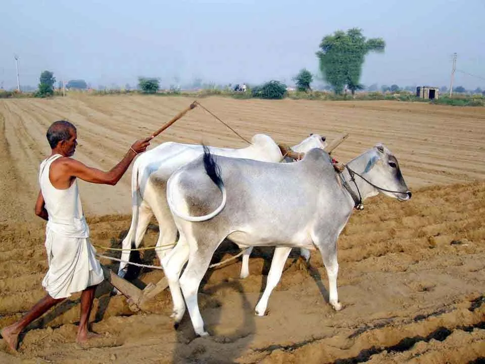 कृषि पर्यटन केंद्रों की स्थापना समय की मांग