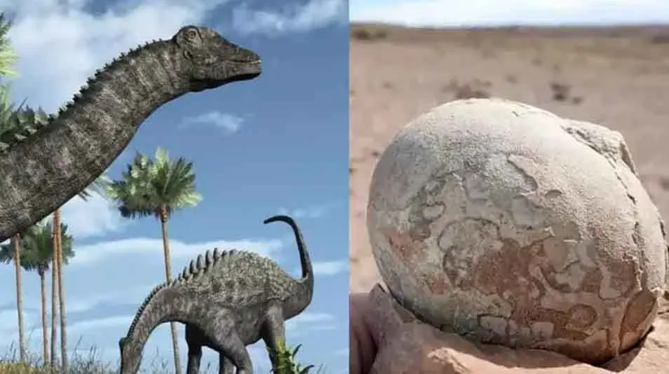 अर्जेंटीना में मिले डायनासोर के 100 अंडे