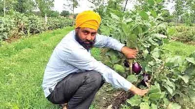 शारीरिक अक्षमता को मात दे प्रेरणा बना किसान करनैल सिंह