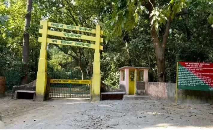 यमुनानगर के कलेसर राष्ट्रीय उद्यान में 30 को होगा पहला मशरूम सर्वेक्षण